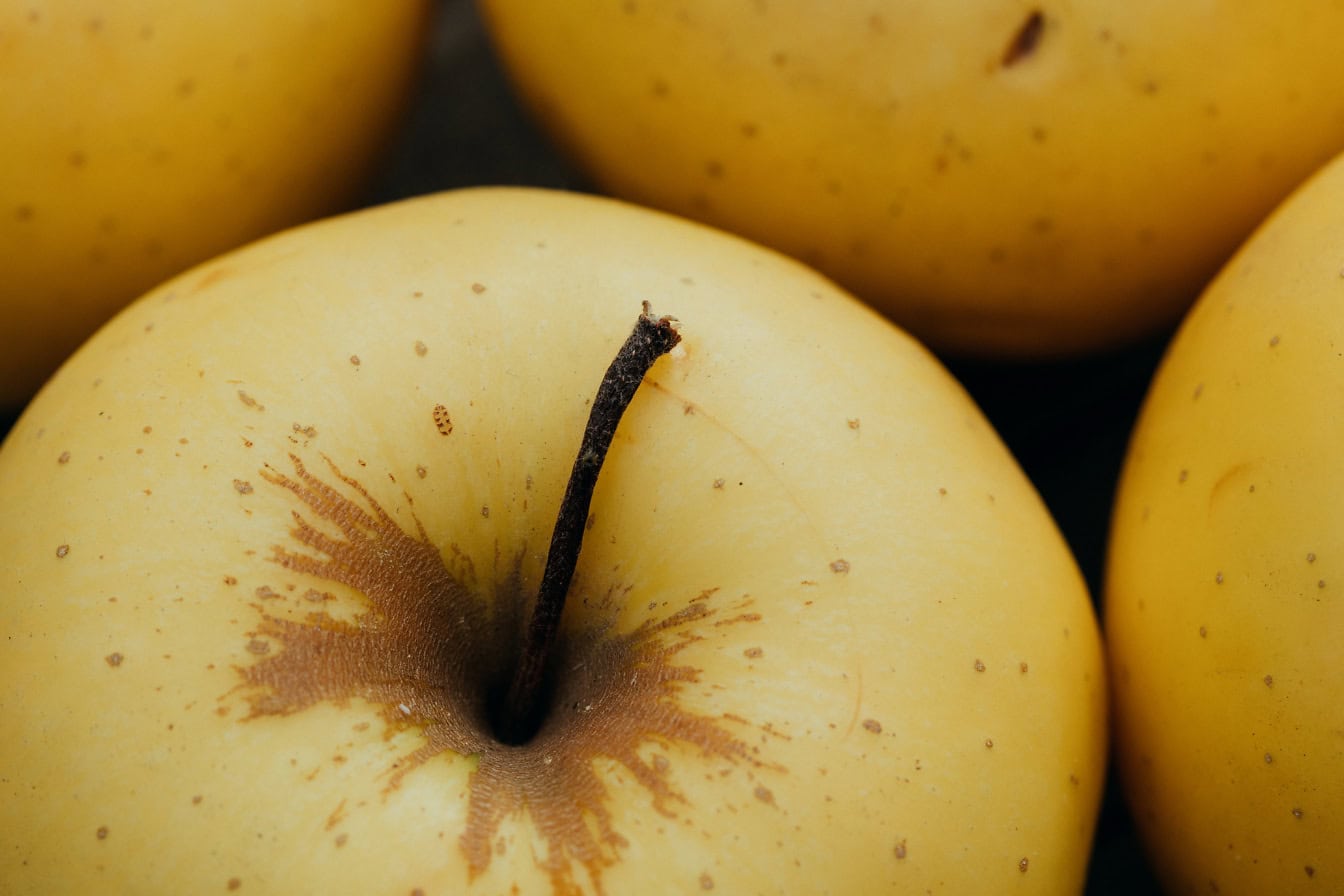 Lähikuva orgaanisista keltaisista omenoista