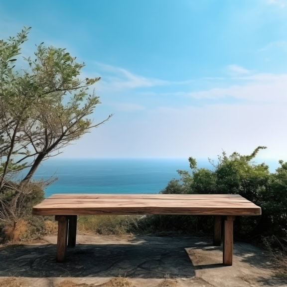 A wooden table overlooking the ocean in a park on the coast