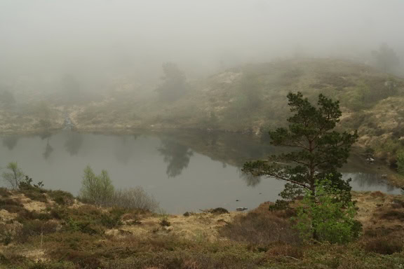 Мъглив пейзаж на планинско езеро, заобиколено от хълмове