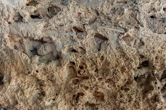 窪みのある薄茶色の岩石の粗い表面の接写テクスチャ