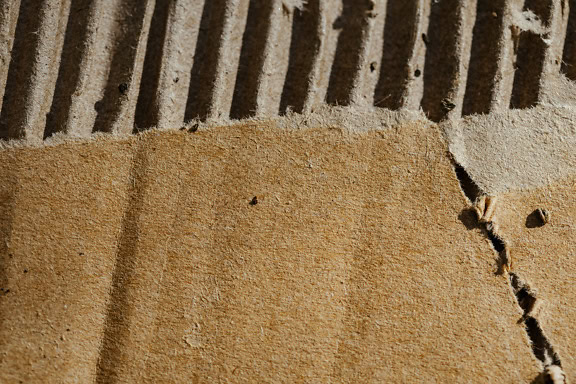 Texture di cartone marrone strappato in carta riciclata con uno strato esterno in fibre di cellulosa fine e uno strato interno con linee verticali