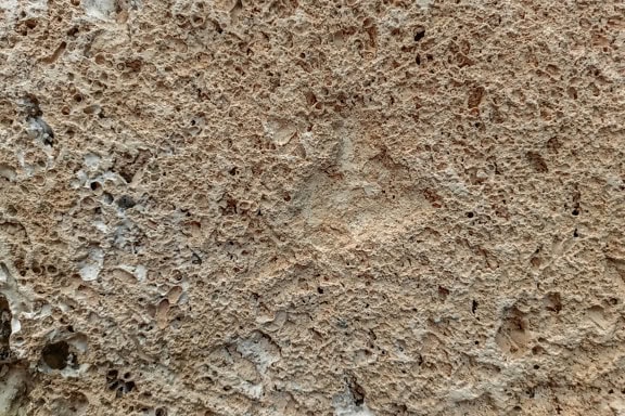 Close-up of a pumice stone surface with dimples