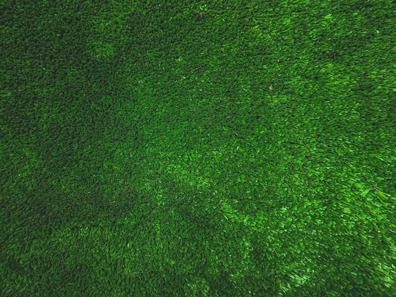 Tekstur rumput buatan yang dihasilkan dari polimer sintetis plastik