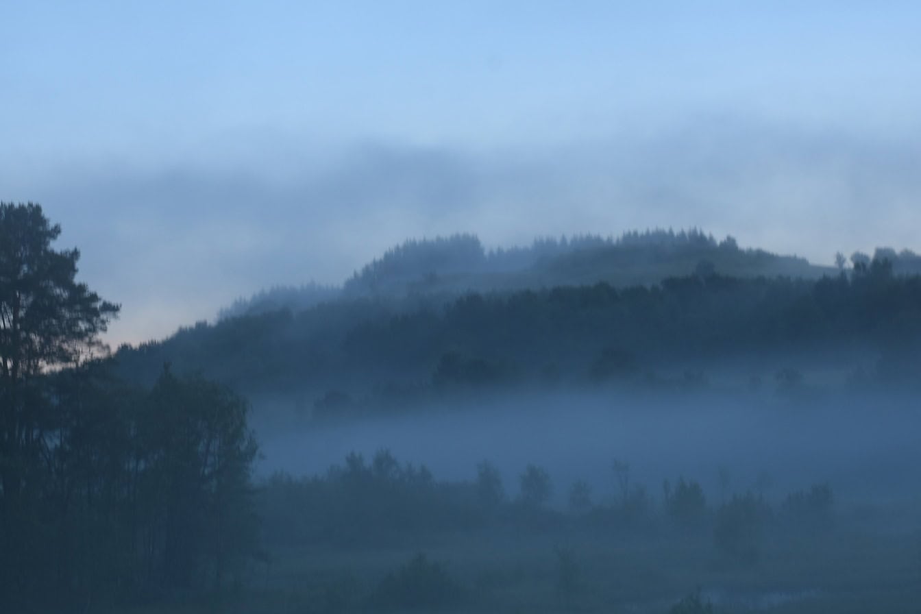 Pemandangan bukit berkabut dengan pepohonan di kabut pagi yang tebal