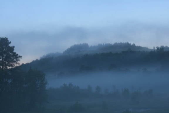 濃い朝霧の中、木々が生い茂る丘陵地帯の霧の風景