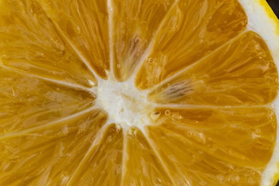 Close-uptextuur van een natte plak van een citroen