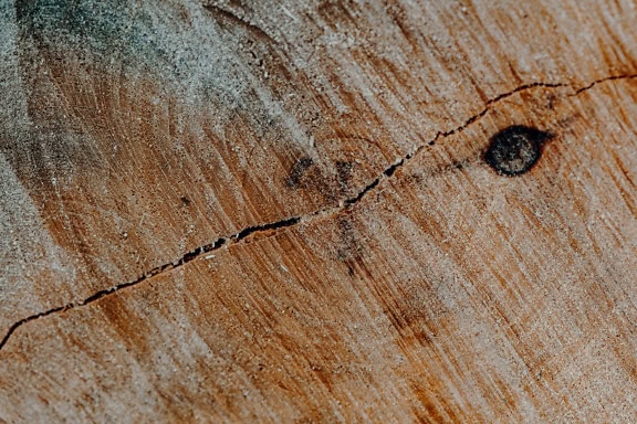 Близък план на пукнатината в напречното сечение на дървения материал със следи от верижен трион