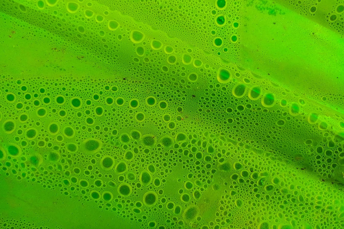 Zöld nejlon felülete, alatta buborékokkal a nedvesség kondenzációja miatt