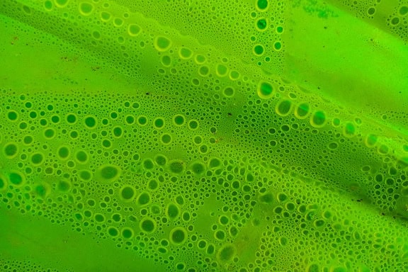 Povrch ze zeleného nylonu s bublinkami pod ním v důsledku kondenzace vlhkosti