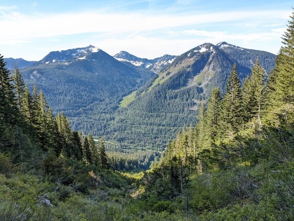 Lanțul muntos al unui munte de granit din Washington, cu pădure de pini și vârfuri montane înzăpezite în depărtare