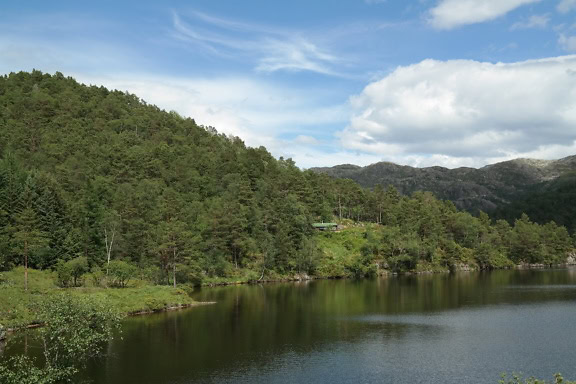 Bredden av en innsjø med furutrær og fjell i bakgrunnen på landsbygda i Norge