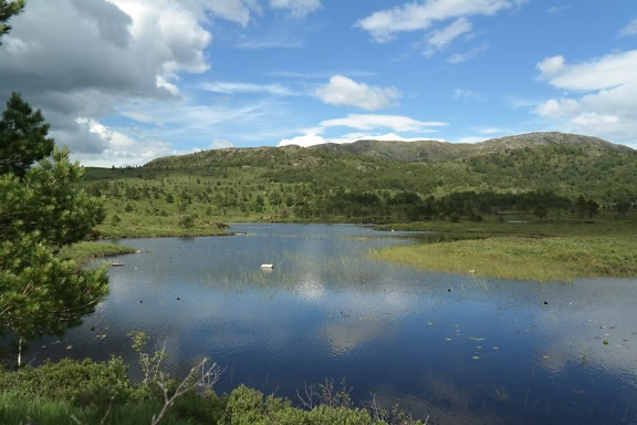 Landskab af sø omgivet af græs og træer om foråret på landet i Norge, en naturskøn udsigt over Skandinavien