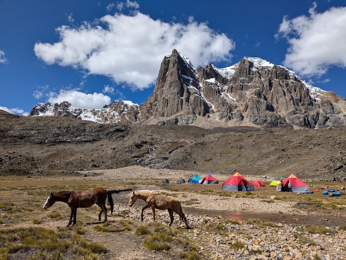 Caballos caminando en el campamento con tiendas de campaña en la Cordillera Huayhuash en los Andes de Perú en América del Sur