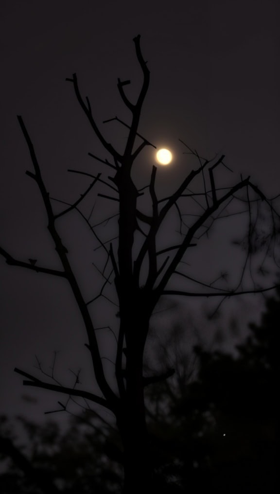 Siluet pohon kering dengan bulan di latar belakang, pemandangan cahaya bulan