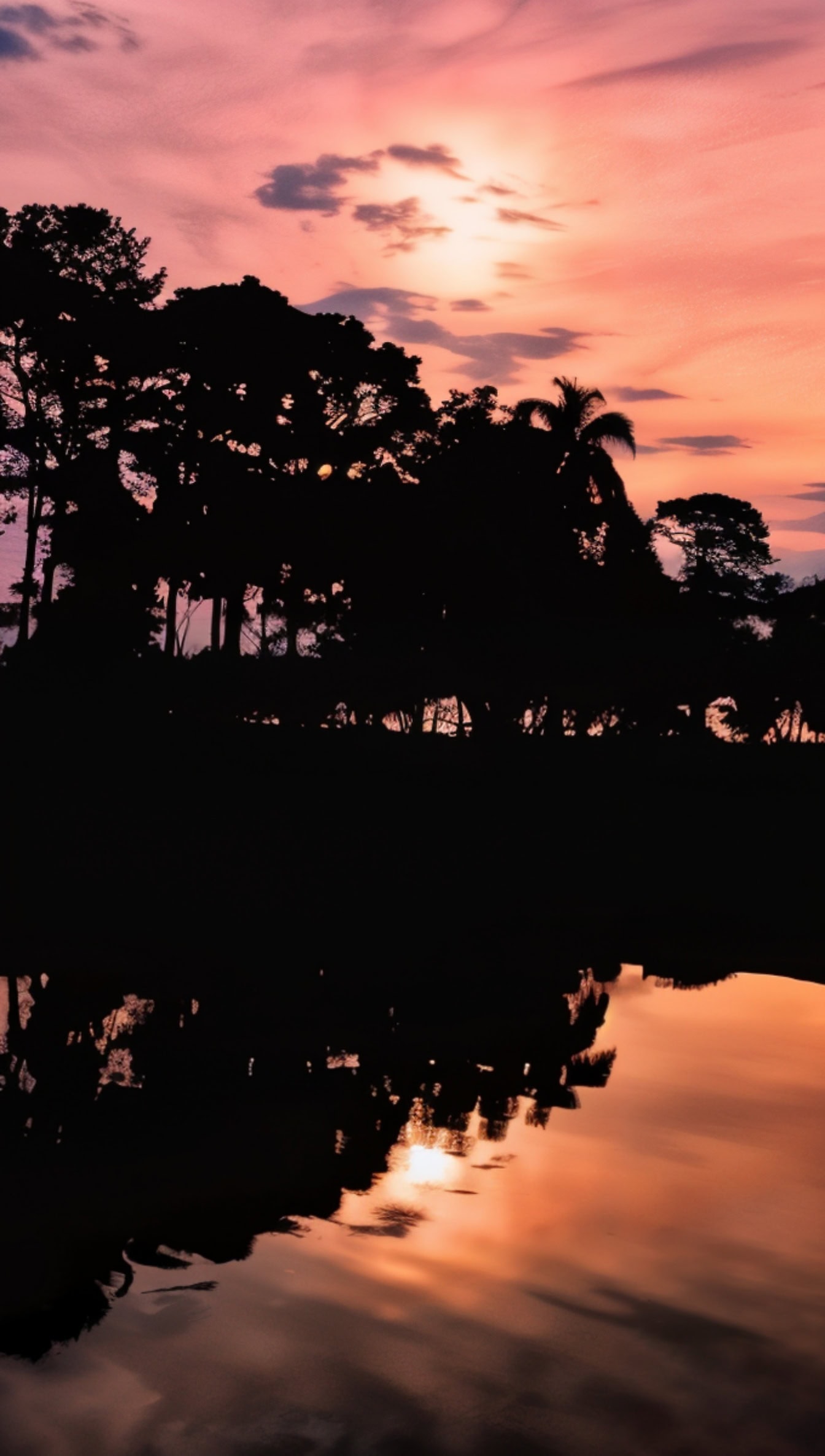 Silueta întunecată a copacilor reflectată într-o apă cu cer portocaliu-roz cu nori la răsărit