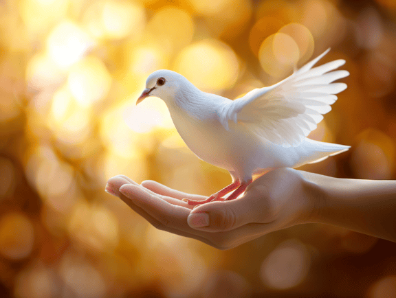 En person, der holder en renhvid due i håndfladen med svagt sollys som baggrund, en illustration af frihed og renhed
