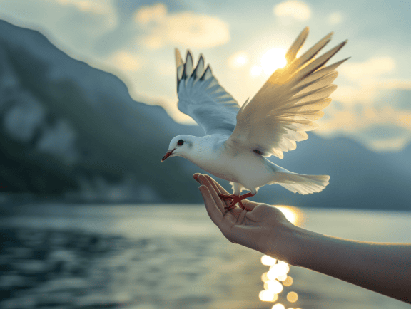一个人手掌中握着一只白色的海鸥，以大海为背景，是自由的例证
