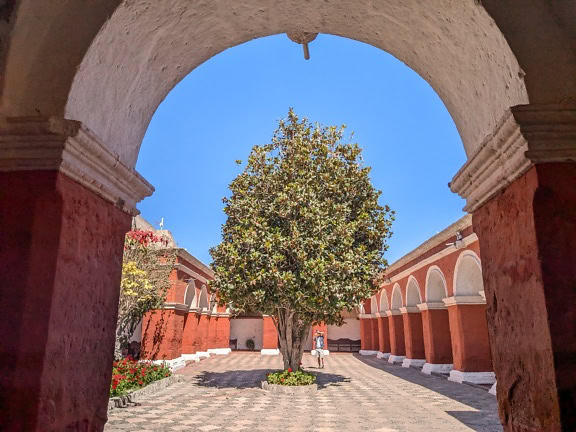 Pohon di halaman di biara Santa Catalina de Siena di Arequipa di Peru, sebuah situs warisan dunia UNESCO