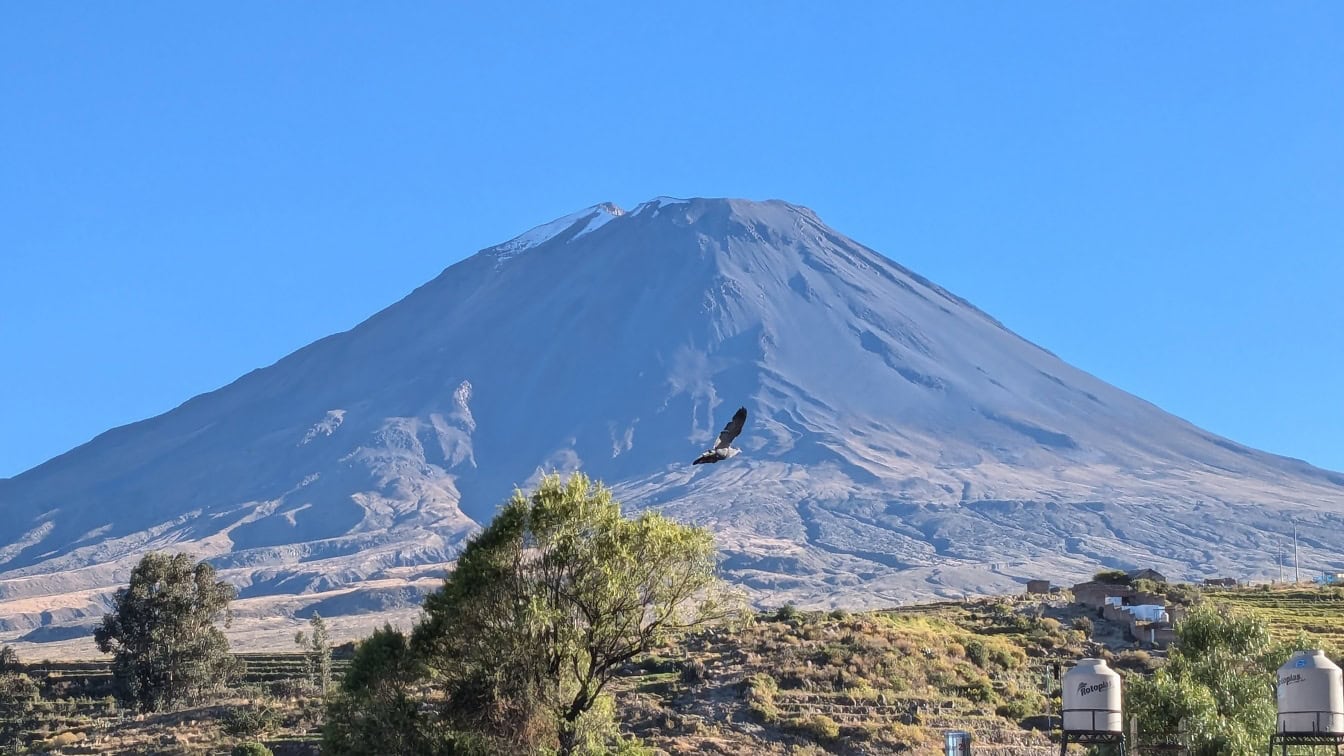 페루에서 두 번째로 큰 도시인 아레키파 위를 날아다니는 새, 배경에 안데스 산맥의 미스티 화산
