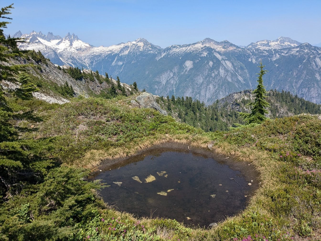 Pequeno lago em uma área gramada com montanhas ao fundo no Parque Nacional North Cascades em Washington
