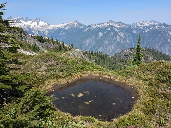 Small lake in a grassy area with mountains in the background at North Cascades National Park in Washington