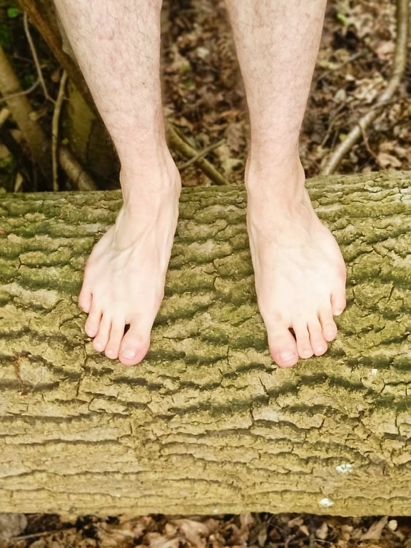 Close-up kaki seorang pria berdiri tanpa alas kaki di batang pohon di hutan
