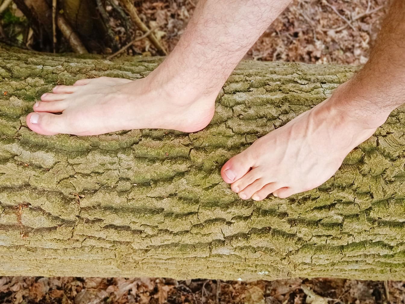 Blote voeten van een persoon op een boomstam