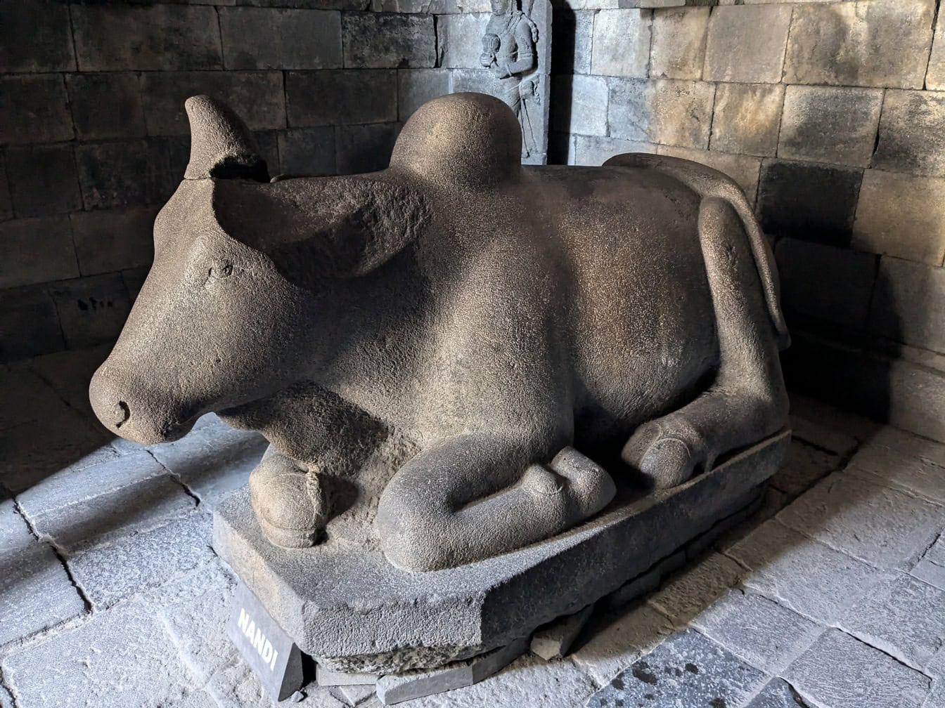 Patung Nandi seekor sapi holly di candi Nandi di Prambanan di Yogyakarta, Indonesia, sebuah situs UNESCO