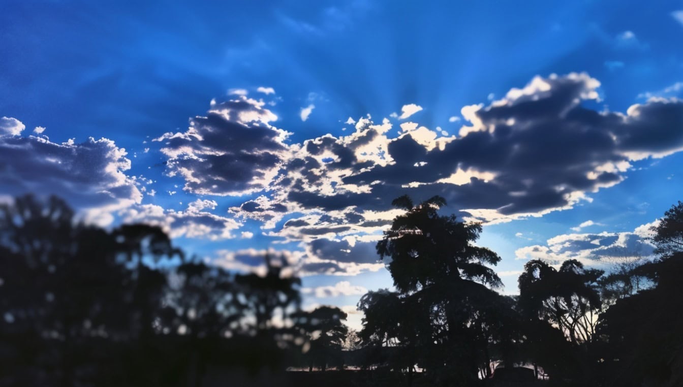 Mörkblå himmel med mörka moln och silhuett av träd i skymningen