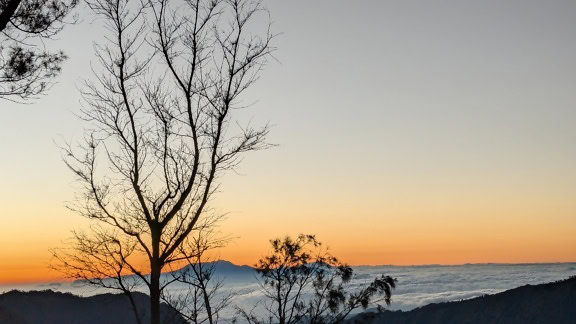 Uma silhueta de uma árvore acima do vale com um pôr do sol acima das nuvens n o fundo