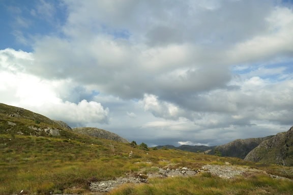 Sommet herbeux avec des montagnes scandinaves en arrière-plan