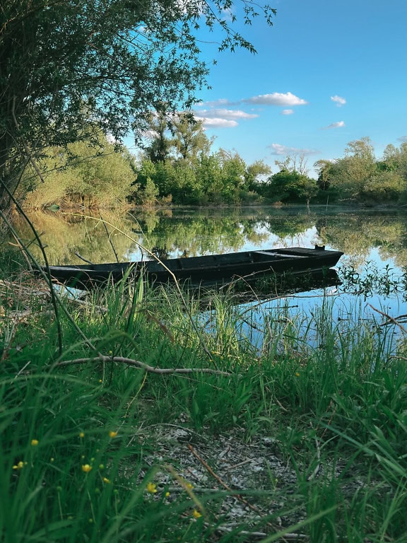 Una vecchia barca di legno in acqua sulla riva erbosa del lago in primavera