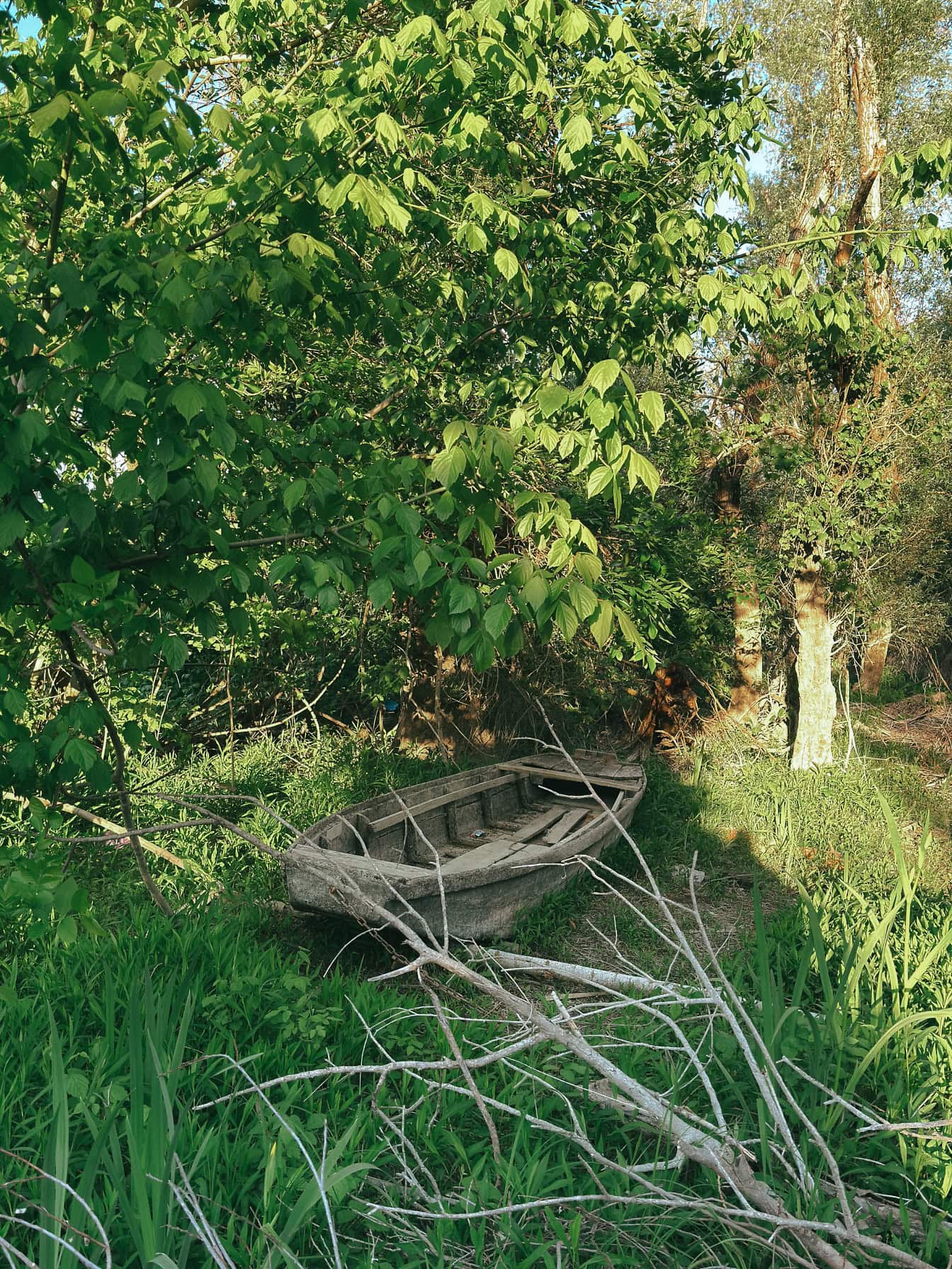 Viejo barco de madera abandonado en tierra firme en el bosque