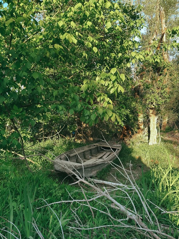 Barcă veche de lemn abandonată pe uscat în pădure