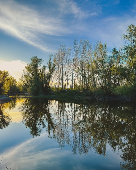 A água calma do canal com árvores na costa e um céu azul com nuvens ventosas ao nascer do sol