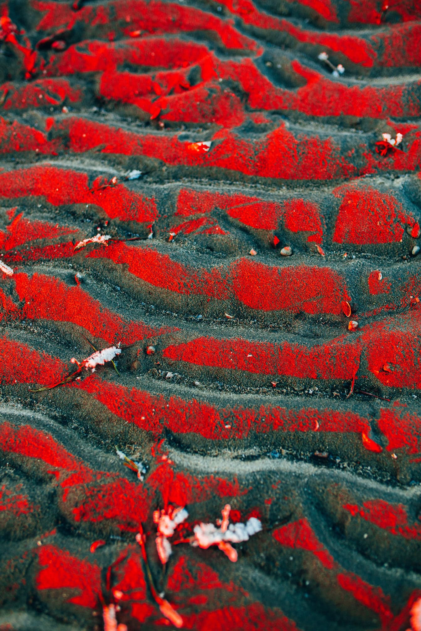 Wet sand texture with dark red paint, an example of intentionally oversaturated colors