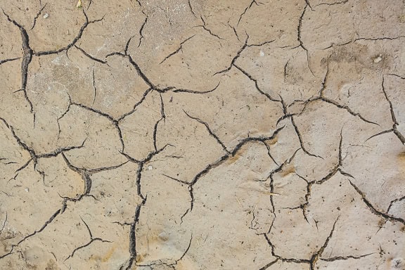 Textuur van een oppervlakte van een gebarsten grond met droge modder tijdens het droge seizoen