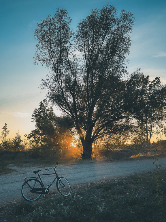 Een fiets op een onverharde weg in de vroege dageraad met een boom met zonnestralen door het bladerdak als tegenlicht, een verticale landschapsfotografie