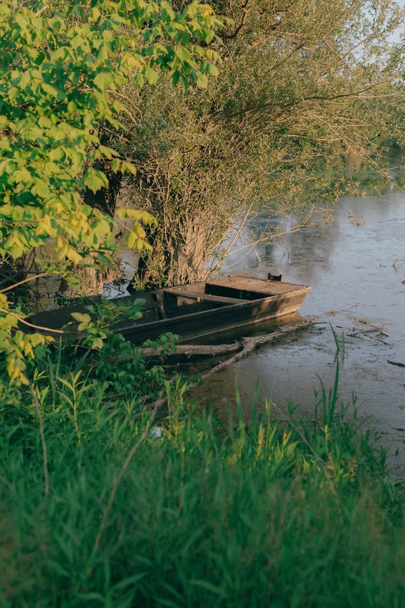 Vertical landscape photograph of an old wooden boat in the water at riverbank at an early spring time