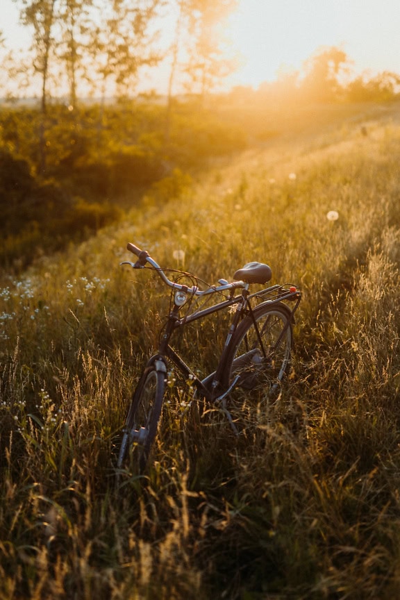 En cykel på en græsklædt eng med skarpe solstråler som baggrundsbelysning om eftermiddagen på en klar solskinsdag