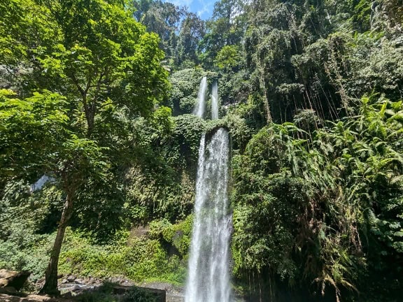 Upea Tiu Kelepin vesiputous viidakossa luonnonpuistossa Senarussa, Lombokissa, Indonesiassa