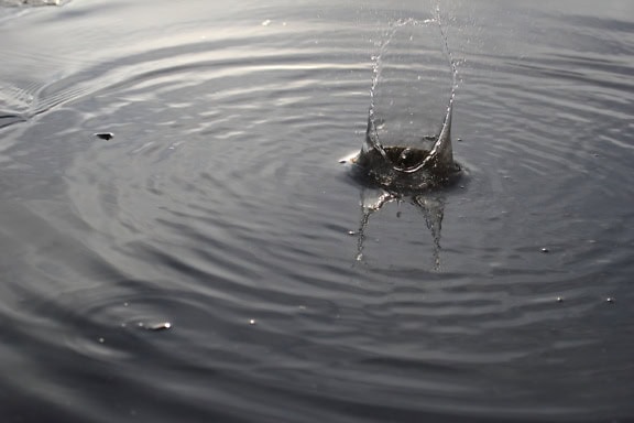 A splash in the water, with gentle rippling on the surface