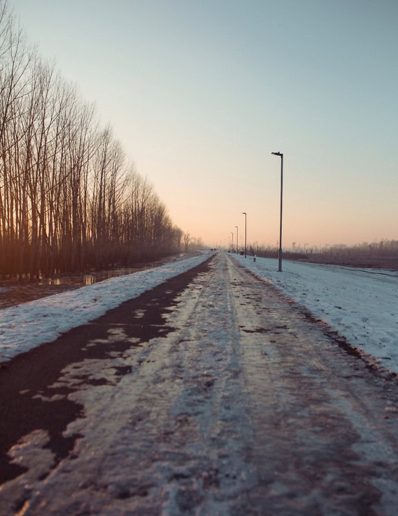 Un ghiaccio che si scioglie sulla strada di campagna con un campo innevato da un lato e un bosco di pioppi dall’altro