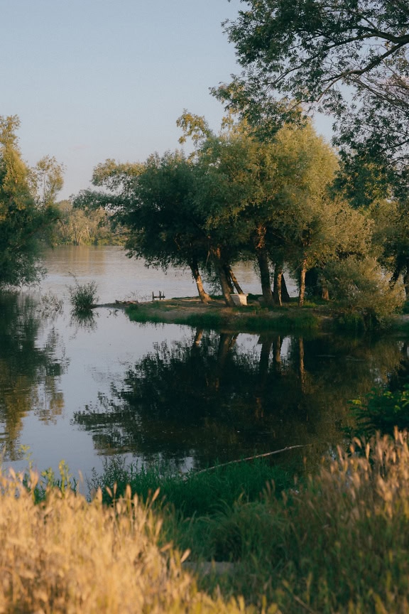 La llanura aluvial del río Danubio con árboles y hierba inundados