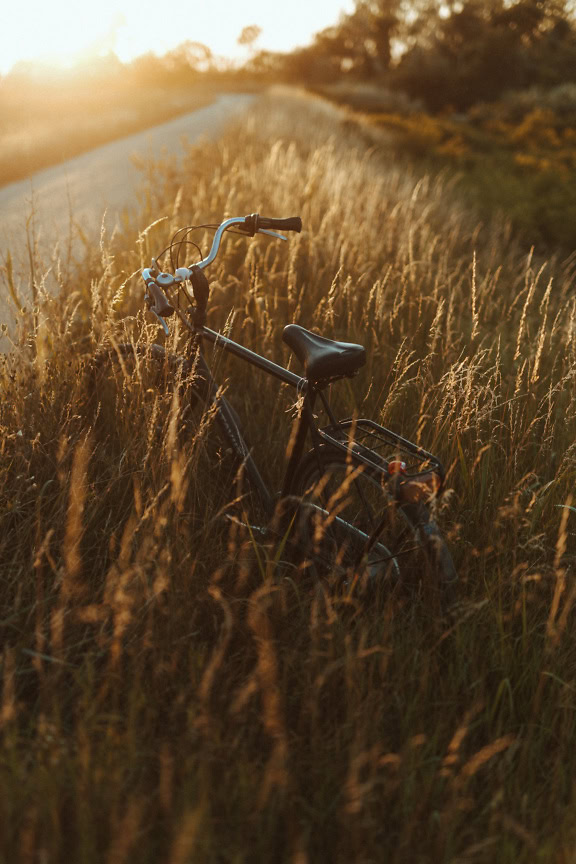 En sort cykel i tørt, højt græs langs en landevej ved solnedgang med skarpe solstråler som baggrundsbelysning