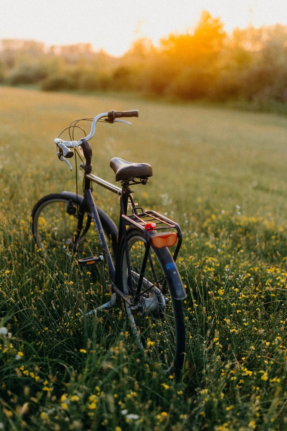 Sort cykel i en engmark med gullige blomster på solrig eftermiddag