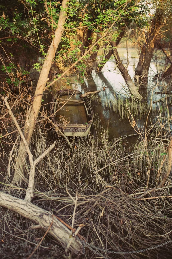 A flooded old wooden riverboat in the swamp