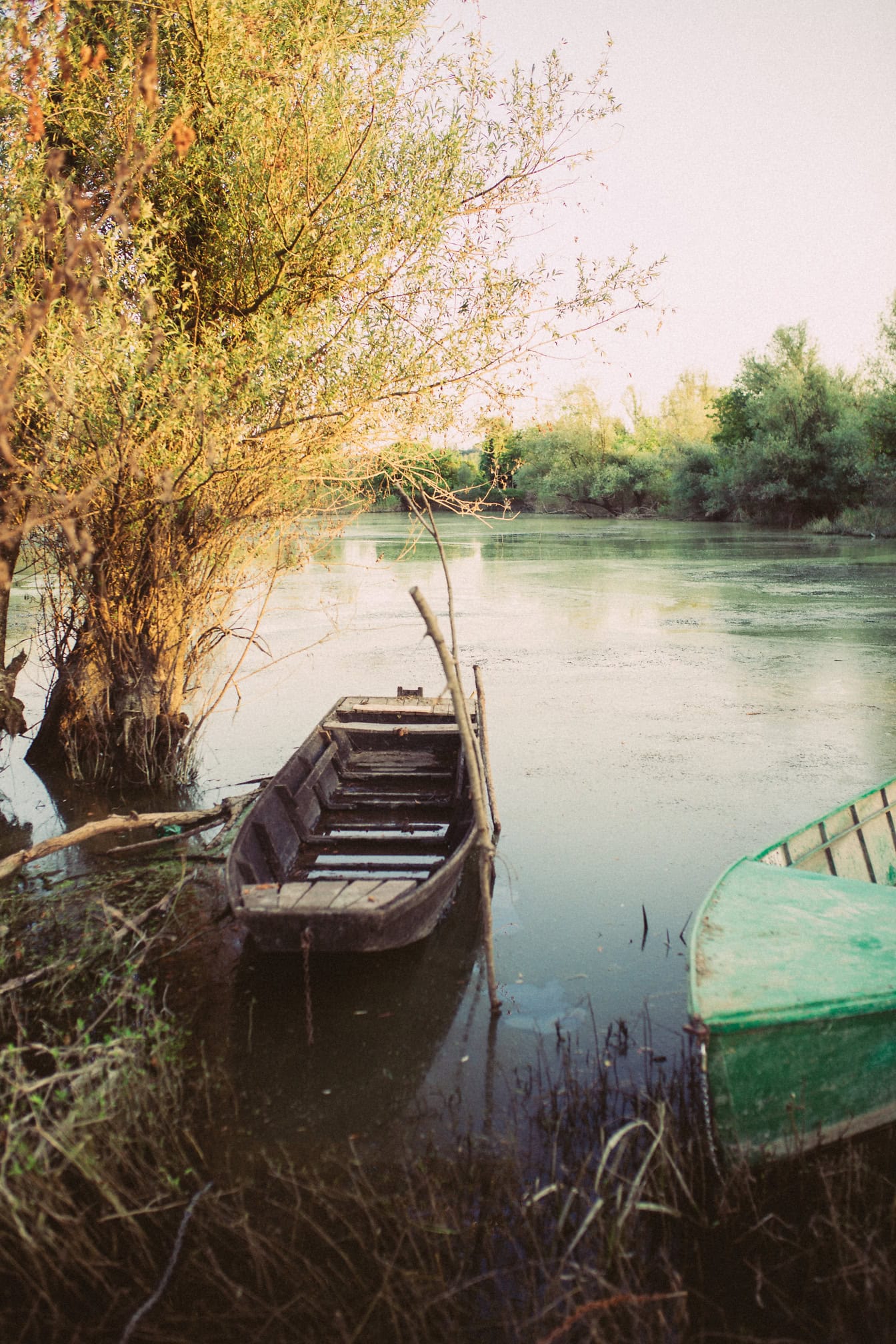 An old wooden fishing boat in the swamp