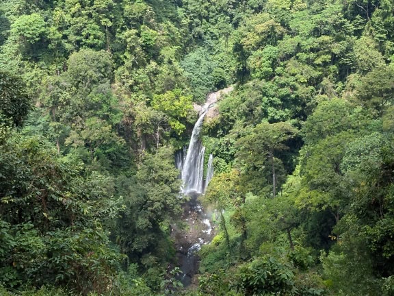 Bir ormanın ortasındaki Sindang Gila şelalesi, Lombok, Endonezya