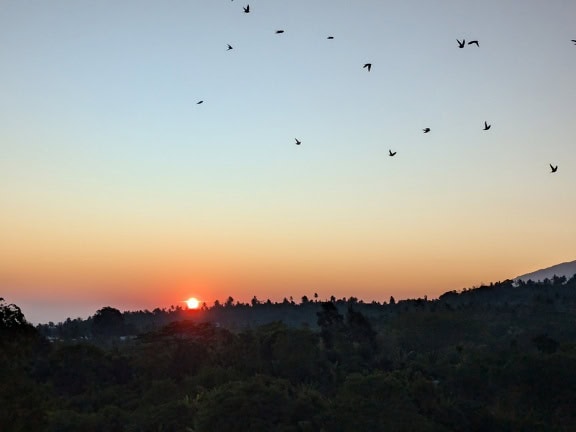 Group of birds flying in the sky over mountain Rinjani in Indonesia